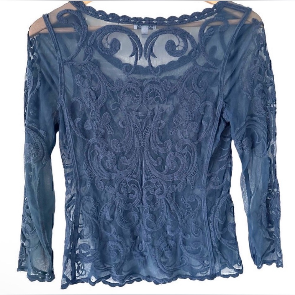 EXPRESS Scrollwork Top, Sheer, Lace, Long-Sleeved Baroque Blue, Small EUC